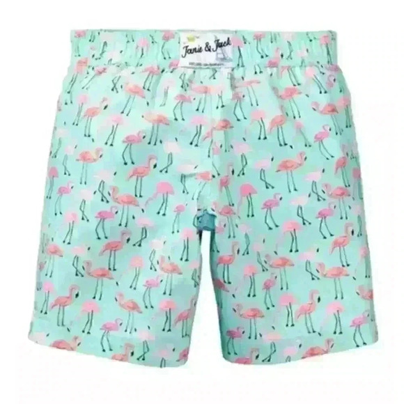 Janie and Jack Mint Flamingo Swim Trunks, size 3-6 months - Picture 2 of 8